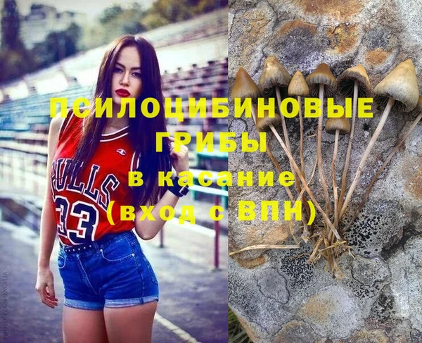 ГАЛЛЮЦИНОГЕННЫЕ ГРИБЫ Белоозёрский
