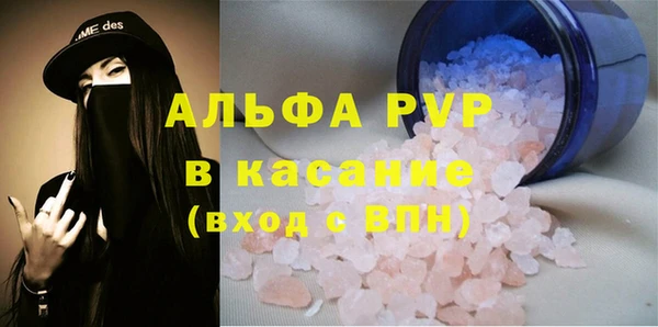 сатива Баксан