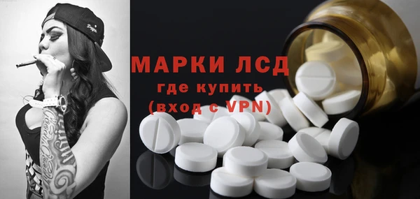 сатива Баксан