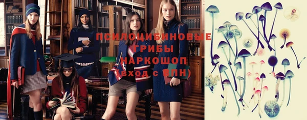 spice Беломорск