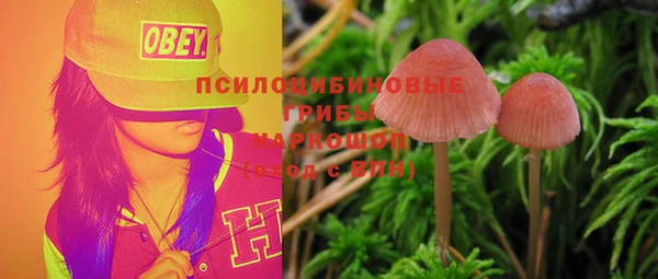 spice Беломорск